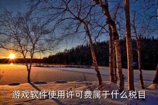 軟件使用費(fèi)交什么稅，軟件使用費(fèi)應(yīng)開國稅發(fā)票還是地稅發(fā)票