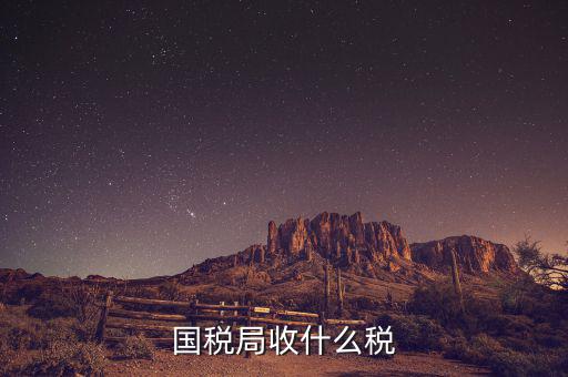 南寧國稅局收什么的稅，請教南寧國稅納稅具體多少以1000元收入為例