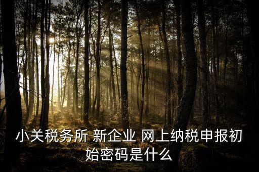 深圳國(guó)稅微信預(yù)約密碼是什么意思，小關(guān)稅務(wù)所 新企業(yè) 網(wǎng)上納稅申報(bào)初始密碼是什么