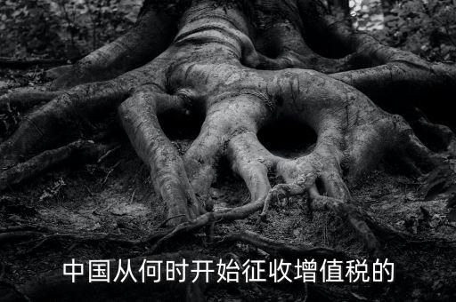 什么時候征收增值稅，批發(fā)零售業(yè)增值稅征收率什么時間開始為3