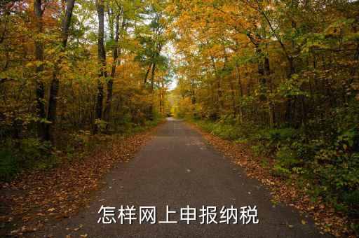 網(wǎng)上用什么申報稅務(wù)，怎樣網(wǎng)上申報納稅