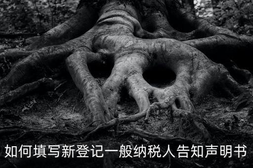 納稅人聲明是什么意思，一般納稅人申報表主表的申明人必須輸入是什么意思