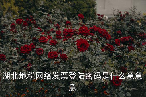 湖北地稅網(wǎng)絡發(fā)票登陸密碼是什么急急急