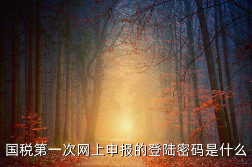 網(wǎng)上稅稅通密碼是什么，國(guó)稅第一次網(wǎng)上申報(bào)的登陸密碼是什么