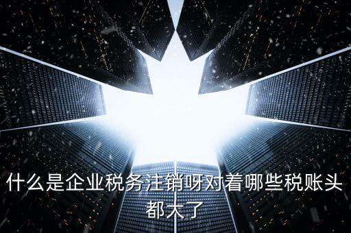 什么是錯(cuò)峰預(yù)約辦稅，網(wǎng)上辦稅系統(tǒng)納稅人未開通使用此介入軟件是什么意思
