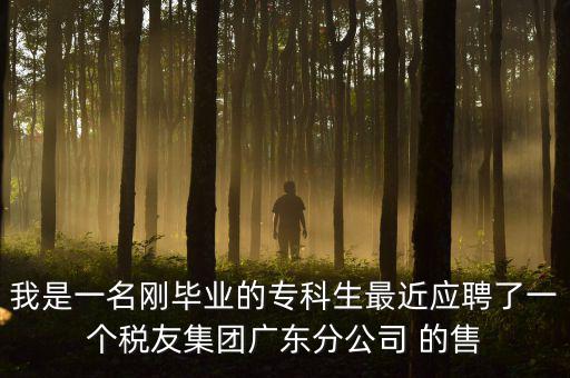 我是一名剛畢業(yè)的?？粕罱鼞?yīng)聘了一個稅友集團(tuán)廣東分公司 的售