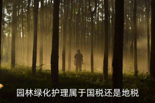 綠化養(yǎng)護(hù)屬于什么稅種，園林綠化護(hù)理屬于國稅還是地稅