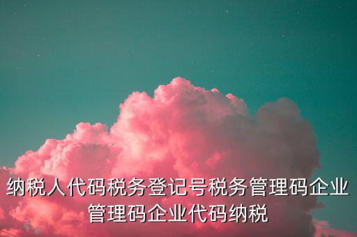 納稅人代碼稅務(wù)登記號稅務(wù)管理碼企業(yè)管理碼企業(yè)代碼納稅