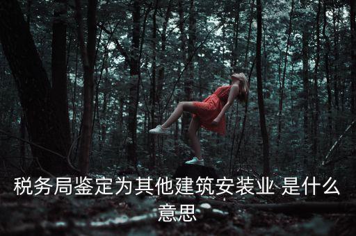 稅務局鑒定為其他建筑安裝業(yè) 是什么意思