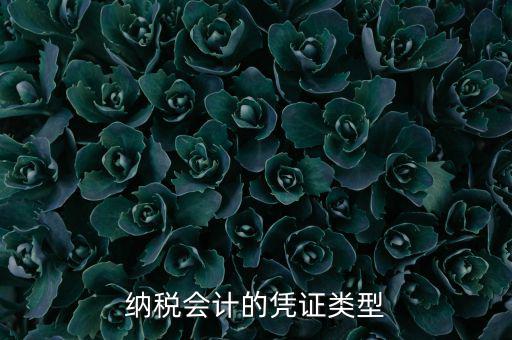 應(yīng)納稅憑證種類是什么，憑證種類999是什么