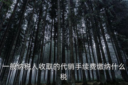 代理服務(wù)費(fèi)交什么稅，一般納稅人收取的代銷手續(xù)費(fèi)繳納什么稅