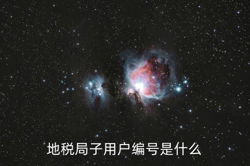 河北地稅的登錄賬號(hào)是什么，地稅局網(wǎng)上申報(bào) 用戶(hù)名用戶(hù)名是什么啊
