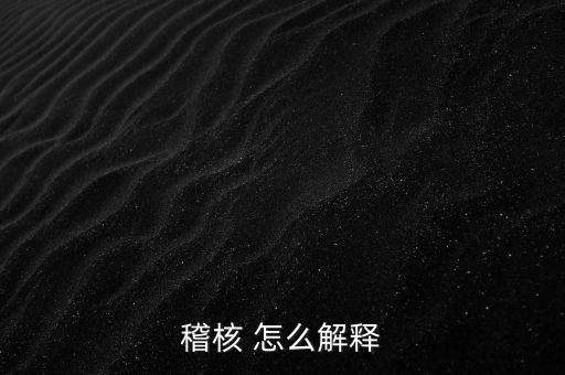 發(fā)票稽核補(bǔ)稅什么意思，稽核 怎么解釋