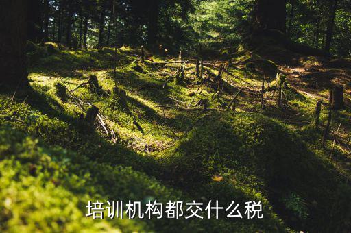 2017培訓(xùn)機(jī)構(gòu)交什么稅，培訓(xùn)機(jī)構(gòu)需要交稅的種類有多少