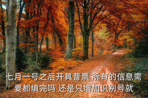 七月一號(hào)之后開具普票 所有的信息需要都填完嗎 還是只增加識(shí)別號(hào)就