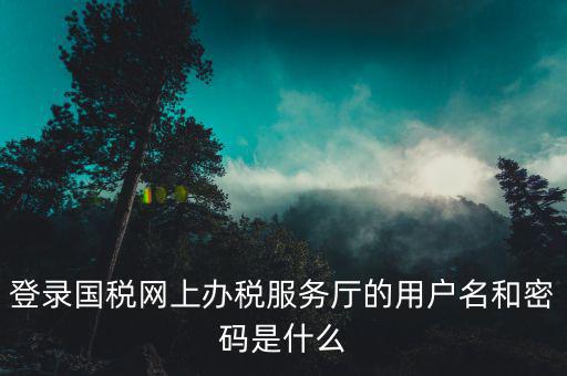 電子稅務局登錄密碼是什么，國稅第一次網上申報的登陸密碼是什么