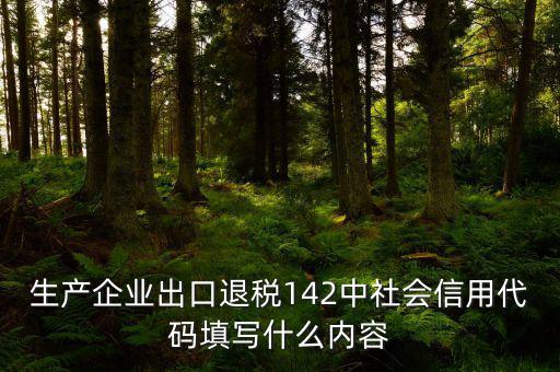 出口退稅系統(tǒng)企業(yè)代碼是什么，進(jìn)出口企業(yè)代碼就是同個(gè)意思嗎