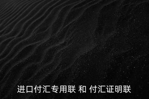 進(jìn)口付匯專用聯(lián) 和 付匯證明聯(lián)