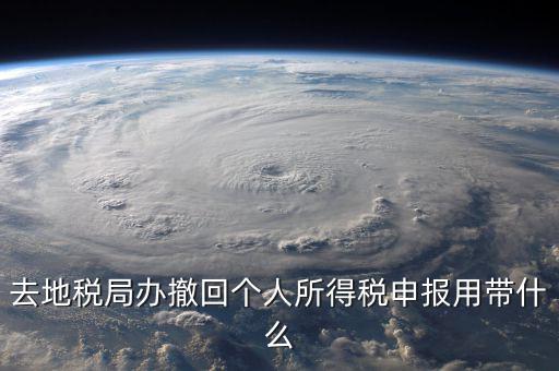 去地稅作廢申報需要帶什么影響，去地稅局辦撤回個人所得稅申報用帶什么