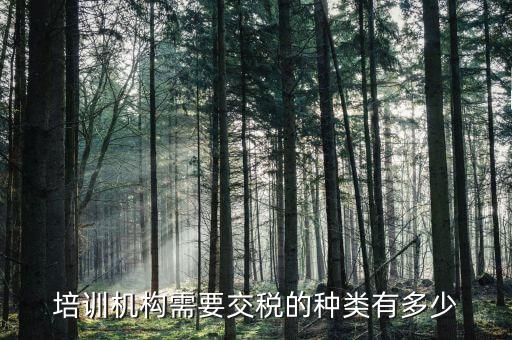 培訓(xùn)機構(gòu)需要交稅的種類有多少