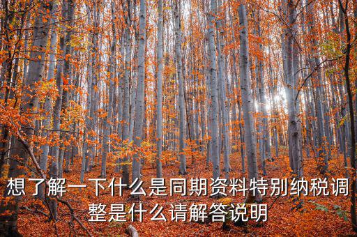 什么是特別納稅調整監(jiān)控管理階段，想了解一下什么是同期資料特別納稅調整是什么請解答說明