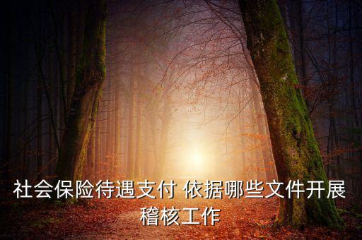 聯(lián)合稽查工作應(yīng)遵循什么，稅務(wù)稽查工作底稿必須包括哪些內(nèi)容