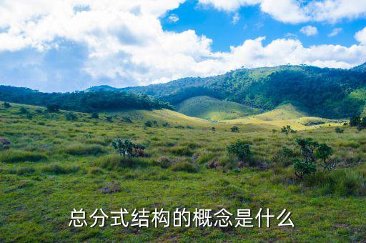 總分機(jī)構(gòu)標(biāo)志是什么意思，總分機(jī)構(gòu)納稅人是什么意思