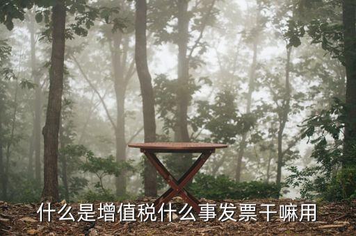 什么是增值稅銷項發(fā)票嗎，什么是增值稅什么事發(fā)票干嘛用
