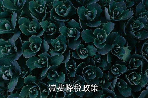 做好6項減稅政策的內(nèi)容是什么，減費降稅政策
