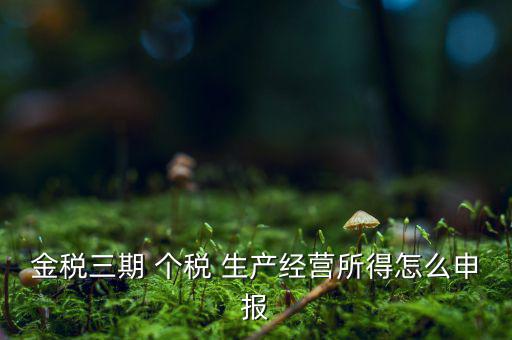 金三申報(bào)申報(bào)什么，金三系統(tǒng)怎樣申報(bào)企業(yè)所得稅稅收優(yōu)惠