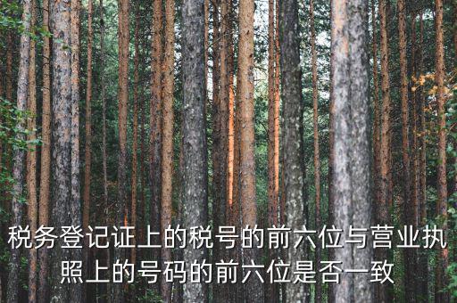 稅號(hào)前六位代表什么，納稅識(shí)別號(hào)前六位數(shù)為140111是什么意思
