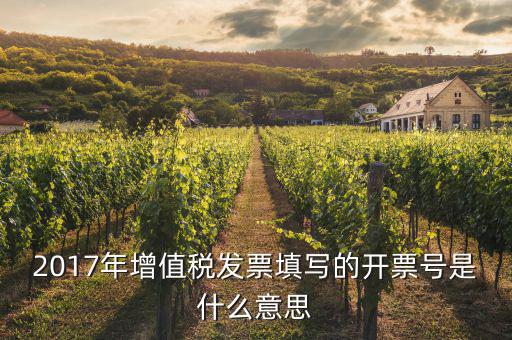 增值稅開票編碼是什么意思，2017年增值稅發(fā)票填寫的開票號是什么意思