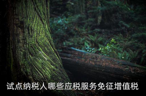 家政服務(wù)免增值稅什么業(yè)務(wù)免，家政服務(wù)企業(yè)的什么收入可以免征增值稅