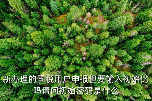 初始申報(bào)密碼是什么，小關(guān)稅務(wù)所 新企業(yè) 網(wǎng)上納稅申報(bào)初始密碼是什么