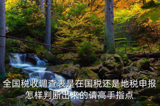 全國稅收調(diào)查表是在國稅還是地稅申報(bào)怎樣判斷出來的請(qǐng)高手指點(diǎn)