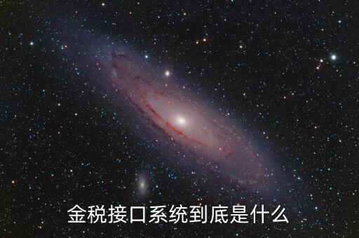 金稅售后是做什么的，鞍山金稅科技有限公司是干什么工作