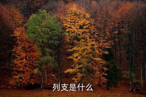賠付支出能列支什么意思，列支是什么意思