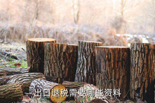 外貿(mào)退稅需要什么資料，出口退稅需要哪些資料