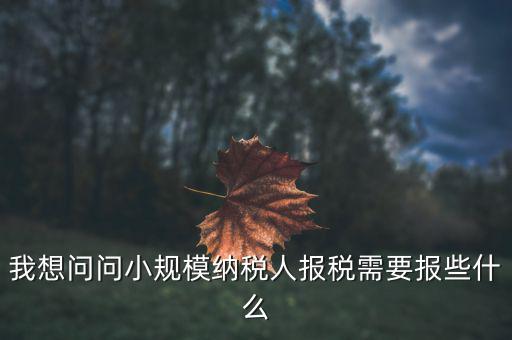 小規(guī)模國稅申報些什么，小規(guī)模納稅人國稅需要報什么資料