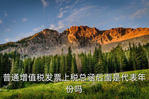 稅總涵2016代表什么意思，稅總財(cái)行便函201616號(hào)保險(xiǎn)公司開具保險(xiǎn)發(fā)票車船稅只在備注