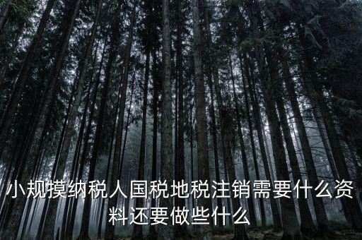 國(guó)地稅注銷(xiāo)需要什么，小規(guī)摸納稅人國(guó)稅地稅注銷(xiāo)需要什么資料還要做些什么