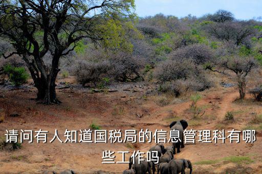 稅務(wù)信息崗位主要負(fù)責(zé)什么，地稅信息中心具體做些什么工作