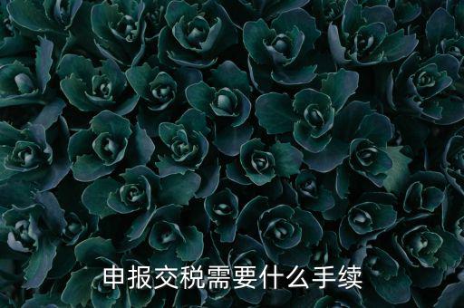 辦理稅務(wù)需要什么手續(xù)，稅務(wù)登記 代辦需要什么手續(xù)