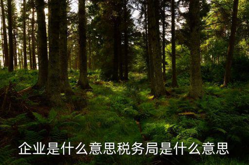 稅務(wù)局官網(wǎng)什么意思，稅官是什么意思