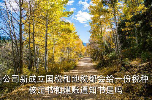 公司新成立國(guó)稅和地稅都會(huì)給一份稅種核定書(shū)和建賬通知書(shū)是嗎