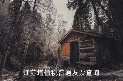 江蘇國稅網(wǎng)站運行的環(huán)境是什么，江蘇國稅徐州網(wǎng)站怎么上不去