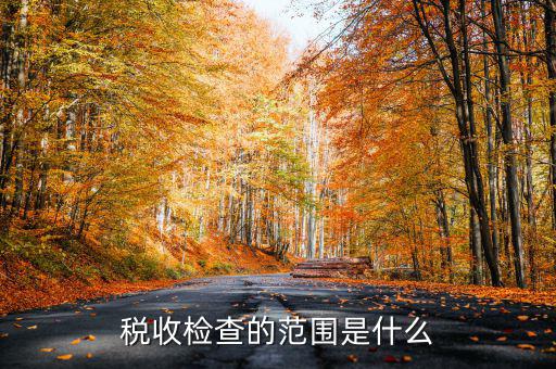 在地稅局需要檢查什么地方，稅務(wù)年檢是什么地方的來(lái)檢查