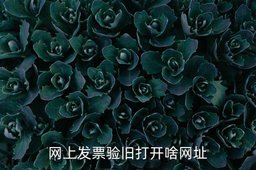 山東省網(wǎng)絡(luò)開票網(wǎng)址是什么，網(wǎng)上發(fā)票驗(yàn)舊打開啥網(wǎng)址