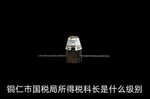 銅仁市國稅局所得稅科長是什么級(jí)別
