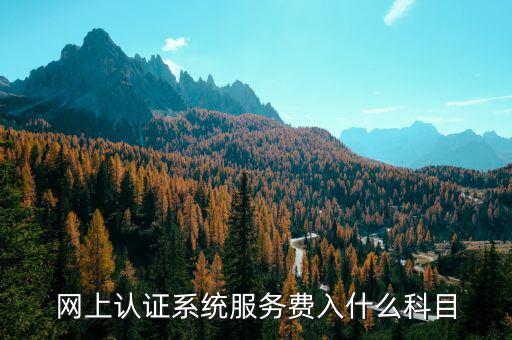 網(wǎng)上認(rèn)證服務(wù)費(fèi)是什么，網(wǎng)上認(rèn)證系統(tǒng)服務(wù)費(fèi)入什么科目